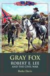 Gray Fox