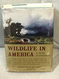 image of Wildlife in America