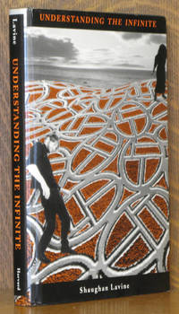image of UNDERSTANDING THE INFINITE