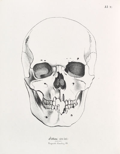Crania Helvetica