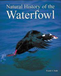 Natural History of the Waterfowl