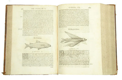 Libri de Piscibus Marinis, in quibus Piscium expressæ sunt. Quæ in tota Piscium historia contineantur, indicat Elenchus pagina nona et decima. Postremò accesserunt Indices necessarij. + Vniuersæ aquatilium Historiæ pars altera, cum veris ipsorum Imagi... (photo 3)