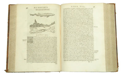 Libri de Piscibus Marinis, in quibus Piscium expressæ sunt. Quæ in tota Piscium historia contineantur, indicat Elenchus pagina nona et decima. Postremò accesserunt Indices necessarij. + Vniuersæ aquatilium Historiæ pars altera, cum veris ipsorum Imagi... (photo 4)