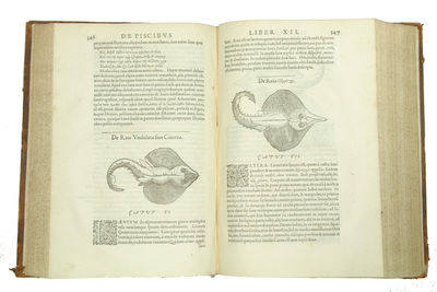 Libri de Piscibus Marinis, in quibus Piscium expressæ sunt. Quæ in tota Piscium historia contineantur, indicat Elenchus pagina nona et decima. Postremò accesserunt Indices necessarij. + Vniuersæ aquatilium Historiæ pars altera, cum veris ipsorum Imagi... (photo 5)