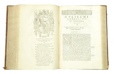 Libri de Piscibus Marinis, in quibus Piscium expressæ sunt. Quæ in tota Piscium historia contineantur, indicat Elenchus pagina nona et decima. Postremò accesserunt Indices necessarij. + Vniuersæ aquatilium Historiæ pars altera, cum veris ipsorum Imagi... (photo 9)