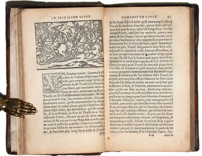 Le Septiesme Livre d?Amadis de Gaule, mis en Francoys par le Seigneur des Essars Nicolas de Herberay...