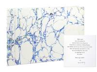 A Taste of the Antarctic [Signed]