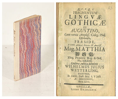 Fragmentum linguæ gothicæ ex Augustino. A.a.
