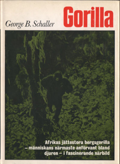 GORILLA. Ett år bland Kongos bergsgorillor.