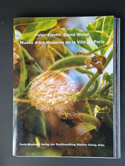 Visible Peter David World Fischli | - and PETER FISCHLI DAVID