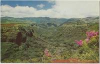 Hanapepe Valley, Hawaii, unused Postcard