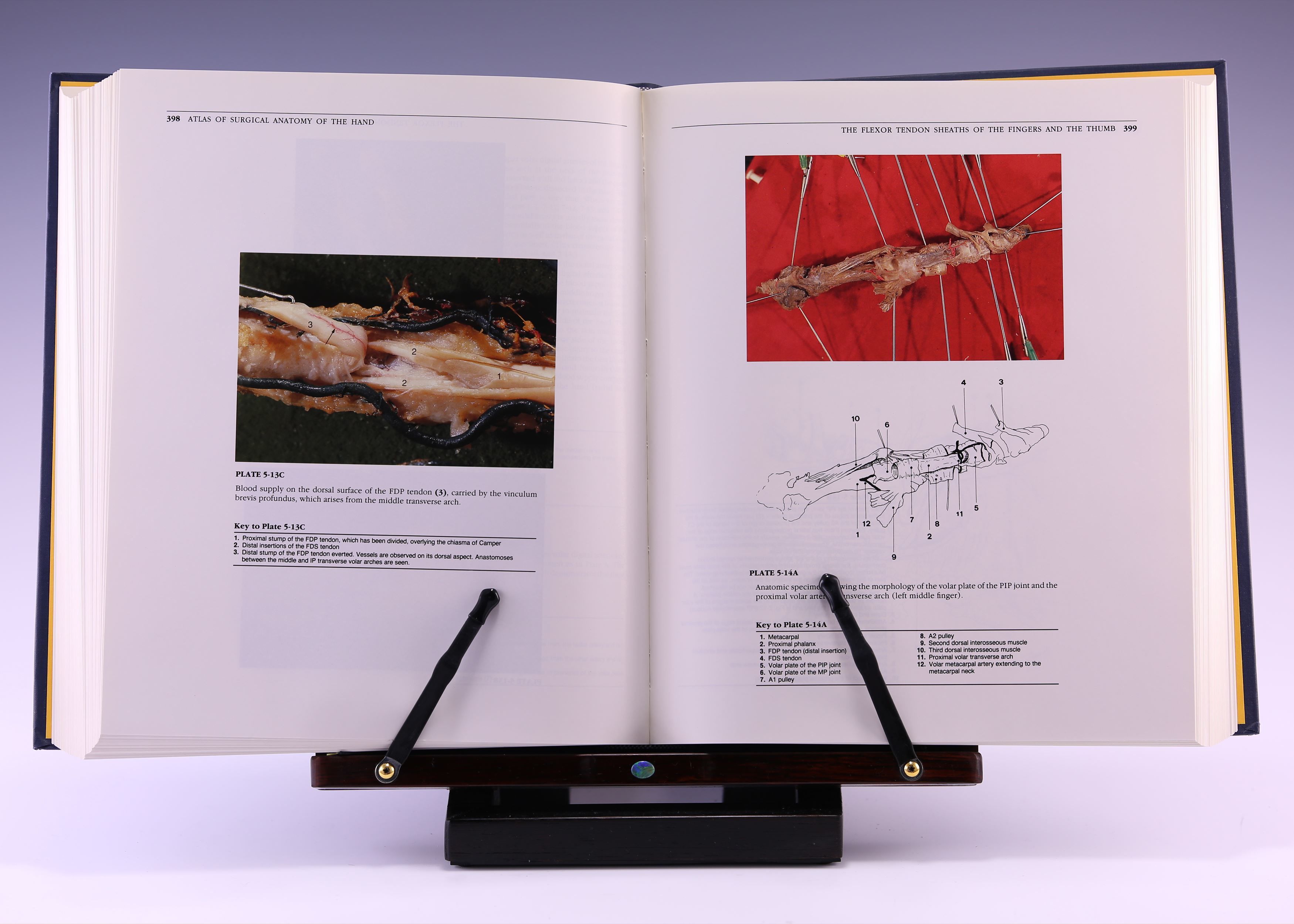 健康・医学 A Comprehensive Atlas of Hand Surgery Atlas of Hand Surgery: 9780865778658: Medicine & Health