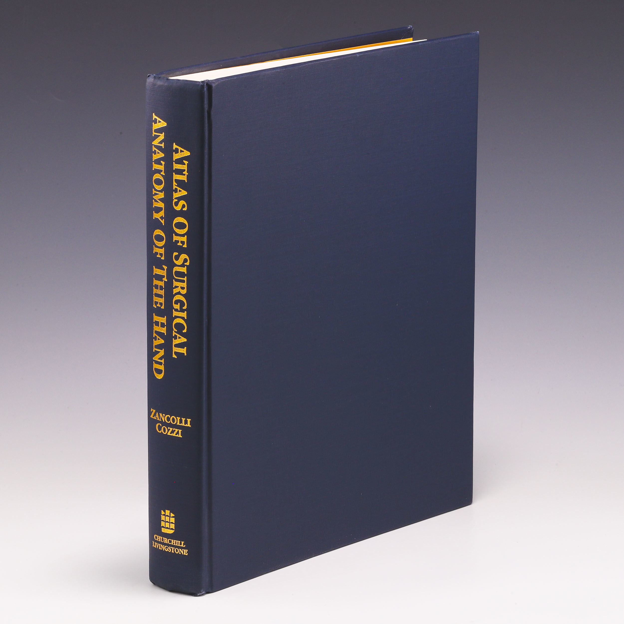 健康・医学 A Comprehensive Atlas of Hand Surgery Atlas of Hand Surgery: 9780865778658: Medicine & Health