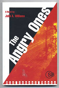 image of The Angry Ones