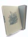 the Sea Wolf - Illustrations by Fletcher Martin - Introduction by Edmund Gilligan