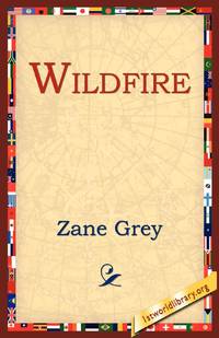 Wildfire
