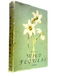 Elsa Flesko 植物図鑑　Wild Flowers 1956 ボタニカル Amazon.co.jp: 1956年 Wild Flowers by Elsa Maria Felsko
