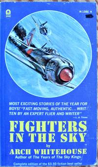 image of Fighters in the Sky