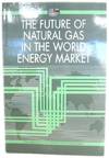 The Future of Natural Gas in the World Energy Market