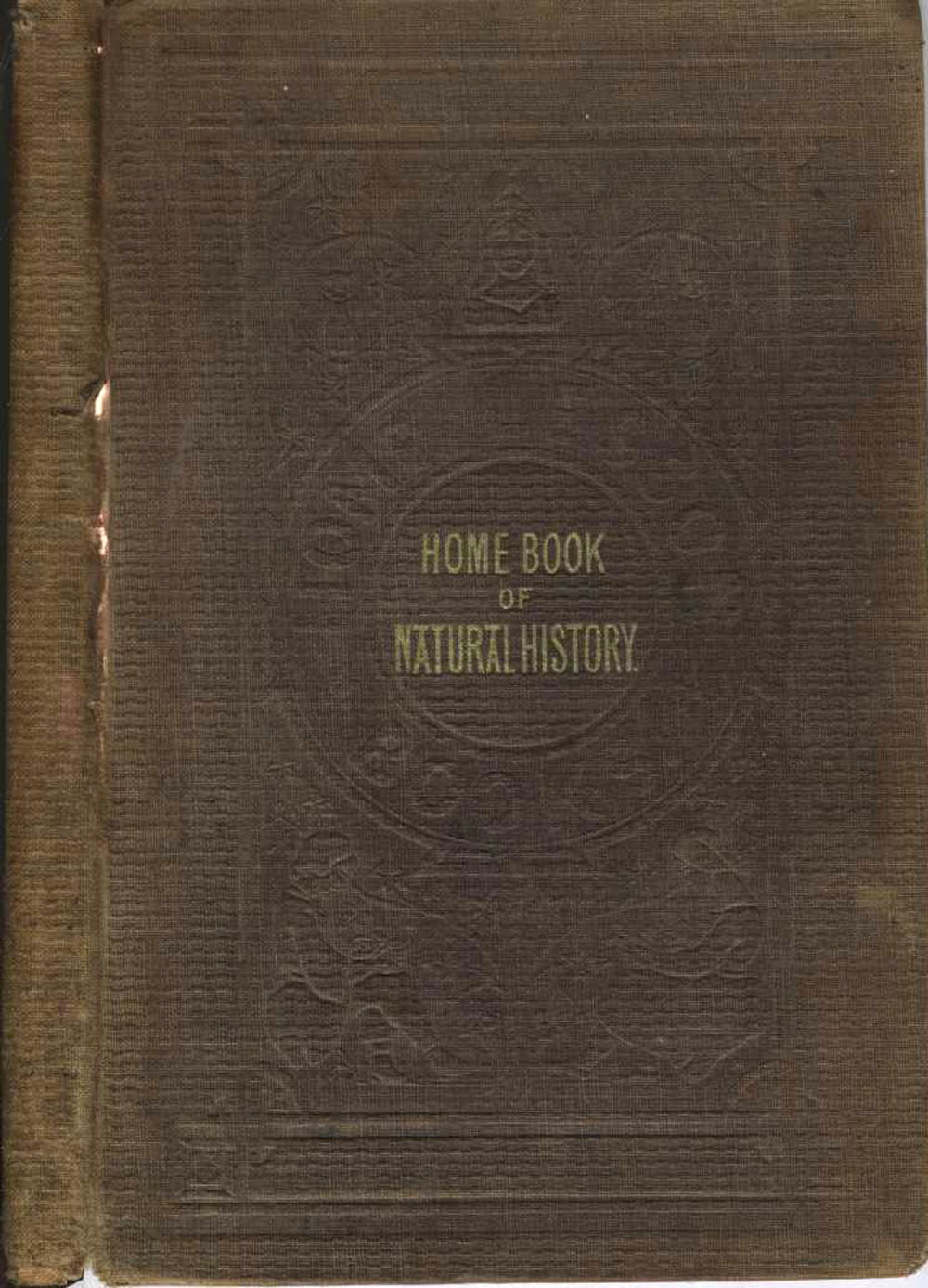 Wood S Illustrated Natural History Hard Cover Wood S Illustrated Natural History Hard Cover