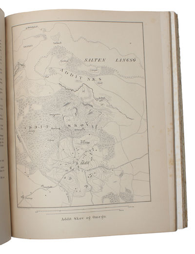 Archæologiske Undersøgelser 1878-1881. Udgivne efter hans Død. (photo 4)