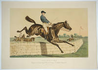 image of Valentino. Vainqueur des Grands Steeple Chases de Vincennes La Marche, Saumur, etc.