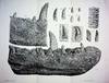 Palaeontographical Society Monographs (London), Volumes 1 - 24
