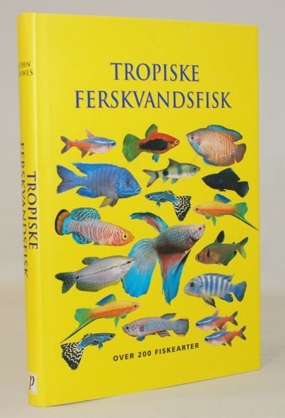 Tropiske ferskvandsfisk.