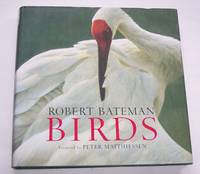 image of Birds