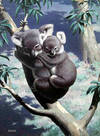 Two Koala Bears in a Tree