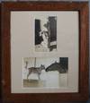 Framed Two Photographs of a Cute Staffordshire Terrier, One with an Equine Friend, One, Wearing a Straw Party Hat while Sitting Upright