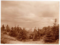 Monhegan, Maine Shoreline Photograph