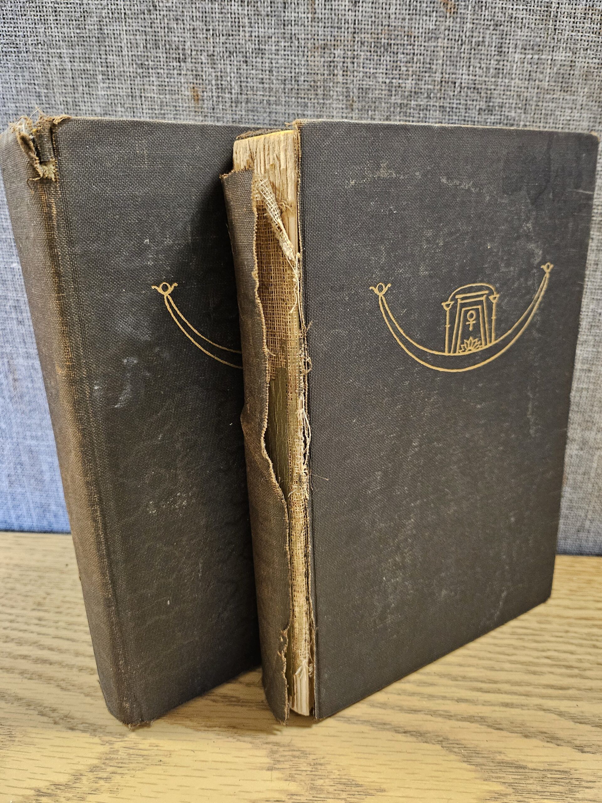 The Celestial Ship of the North 1927 rare early 2 volume set