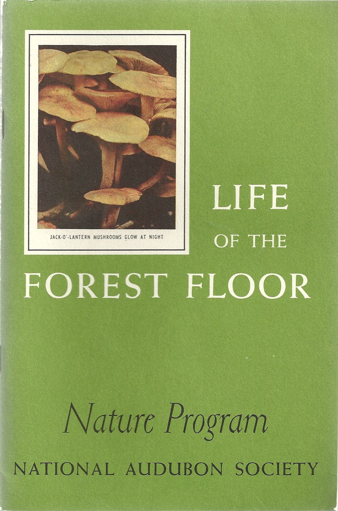 NATIONAL AUDUBON SOCIETY NATURE PROGRAM by NATIONAL AUDUBON SOCIETY