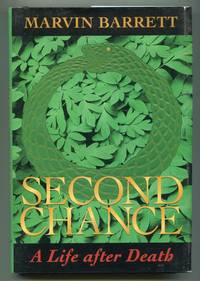 Second Chance: A Life After Death