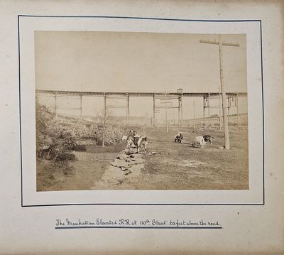 Photo Album Documenting an Irish Tourist's Trip to New York City in 1886