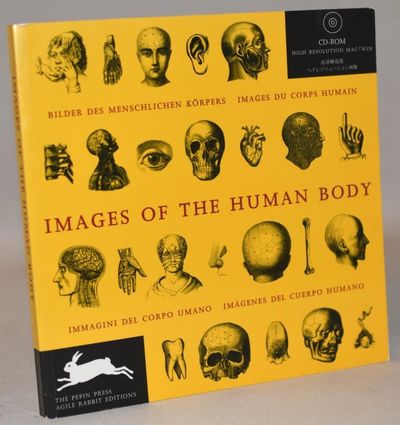 Images of the human body.
