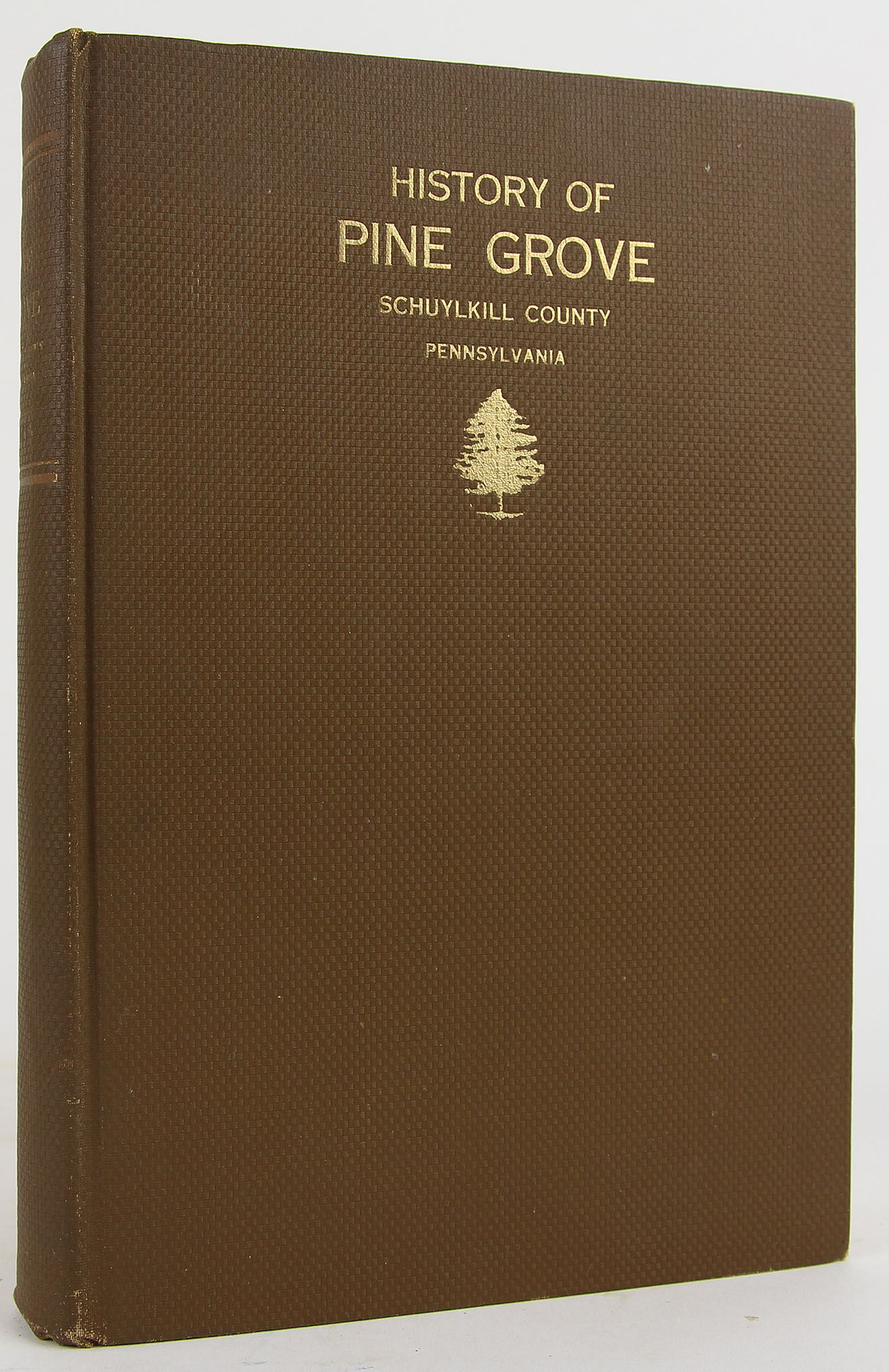 History of Pine Grove, Schuylkill County, Pennsylvania by P. Haas