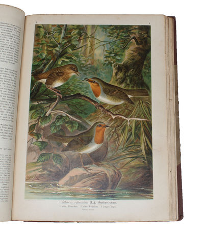 Naturgeschichte der Vögel Mitteleuropas. Neubearbeitet von G. Berg, R. Blasius a.( many others). Hrsg. von Carl R. Heinicke. 12 Bde. (photo 4)