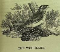 A History of British Birds The Figures engraved on wood by T.Bewick. Vol. I. Containing the...
