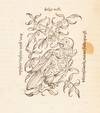 View Image 7 of 9 for P. Vergilii Maronis Bucolicorum, Georgicorum et Aeneidos: cum accurata simul & fideli Seruij Mauri H... Inventory #4945