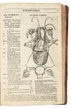 View Image 13 of 23 for Bartholinus anatomy; made from the precepts of his father, and from the observations of all modern a... Inventory #5290