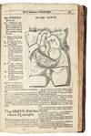 View Image 16 of 23 for Bartholinus anatomy; made from the precepts of his father, and from the observations of all modern a... Inventory #5290