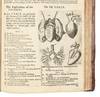 View Image 18 of 23 for Bartholinus anatomy; made from the precepts of his father, and from the observations of all modern a... Inventory #5290