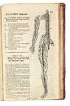 View Image 23 of 23 for Bartholinus anatomy; made from the precepts of his father, and from the observations of all modern a... Inventory #5290