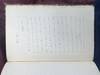 [MANUSCRIPT TRAVELOGUE TO THE BRITISH...; (photo 25)