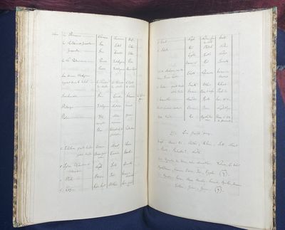 [MANUSCRIPT TRAVELOGUE TO THE BRITISH...; (photo 38)