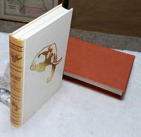 image of Ivory