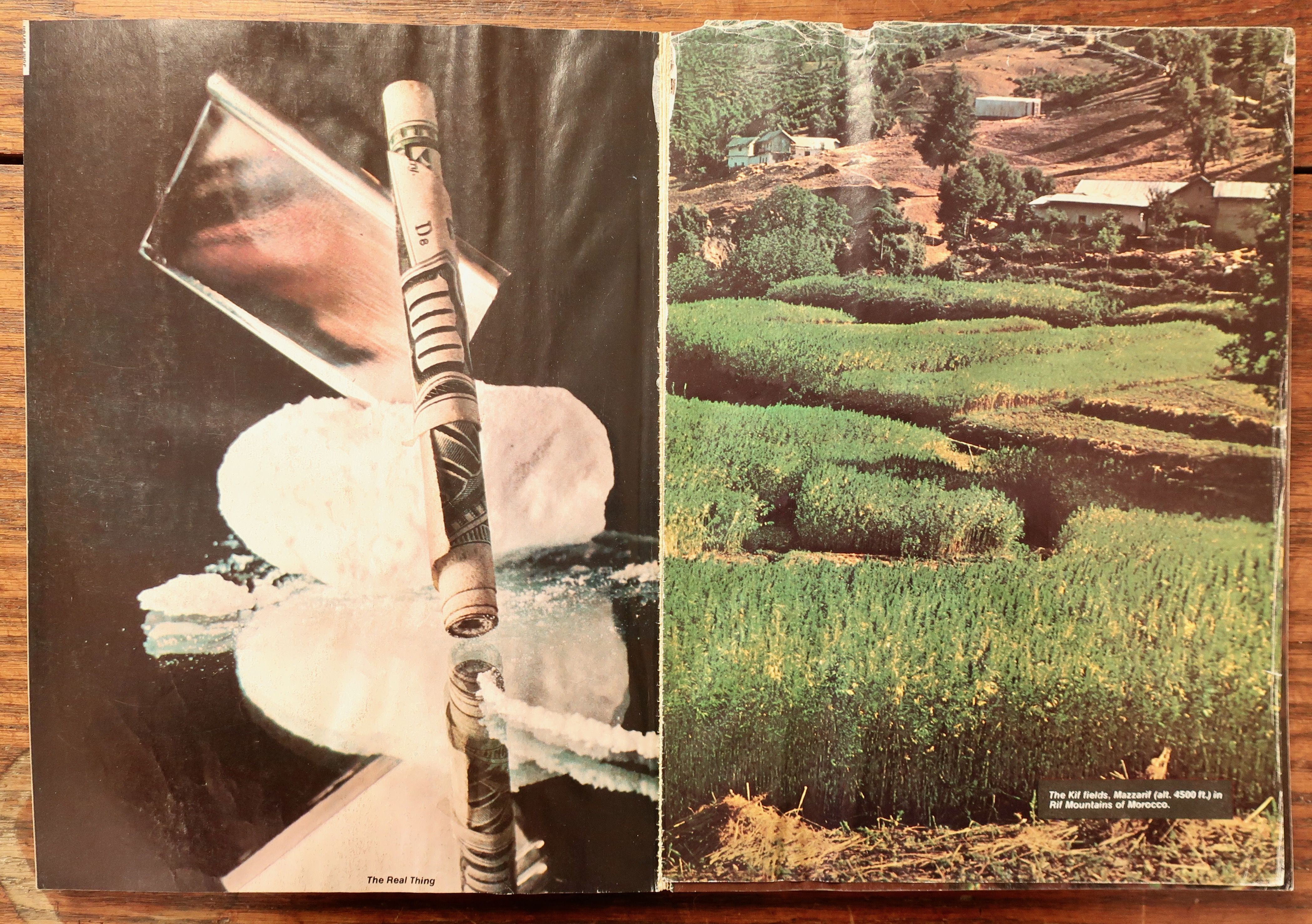 HIGH TIMES ENCYCLOPEDIA OF RECREATIONAL DRUGS by various