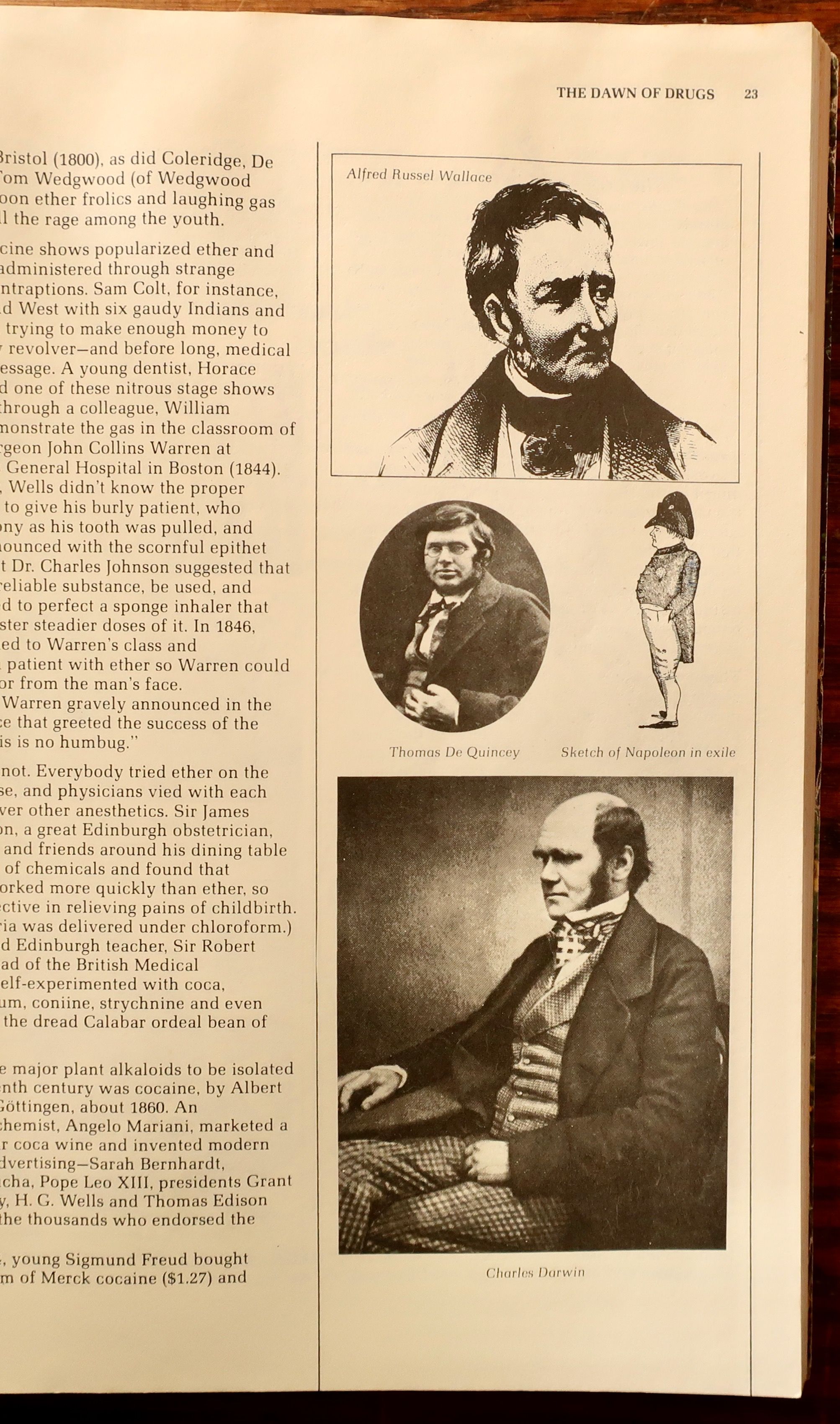 HIGH TIMES ENCYCLOPEDIA OF RECREATIONAL DRUGS by various